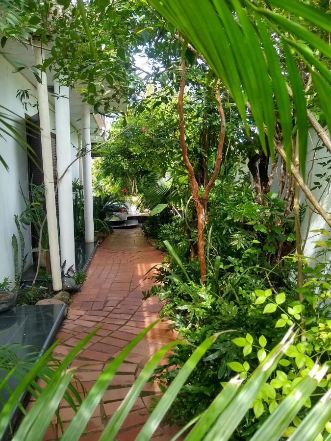 Guesthouse Mata Da Praia Vitoria Exterior photo